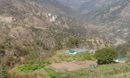 अनियमित मानसून, लंबे समय तक सूखा पड़ना Himachal में बढ़ते कृषि-जलवायु जोखिमों का संकेत
