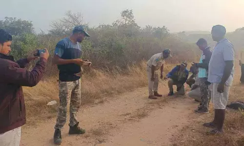 बाघ यदाद्री भुवनगिरी से Siddipet की ओर बढ़ता है बाघ यदाद्री भुवनगिरी से Siddipet की ओर बढ़ता है