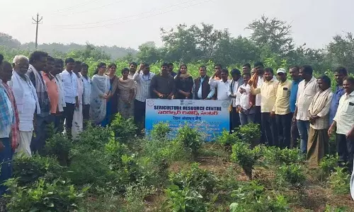 Narasimhapuram में सेरीकल्चर रिसोर्स सेंटर में ट्रेनिंग क्लास शुरू हुईं