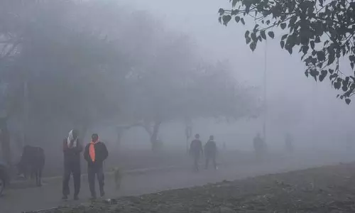 Chandigarh ट्राइसिटी में बारिश के बाद फिर से कोहरा छाया, ठंड बढ़ी Chandigarh ट्राइसिटी में बारिश के बाद फिर से कोहरा छाया, ठंड बढ़ी