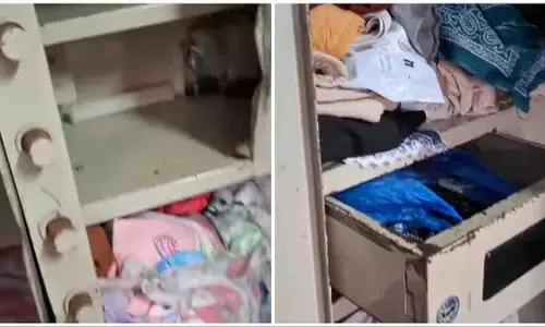 Nashik के इगतपुरी में बड़ी चोरी, सुबह के वक्त लाखों की लूट Nashik के इगतपुरी में बड़ी चोरी, सुबह के वक्त लाखों की लूट