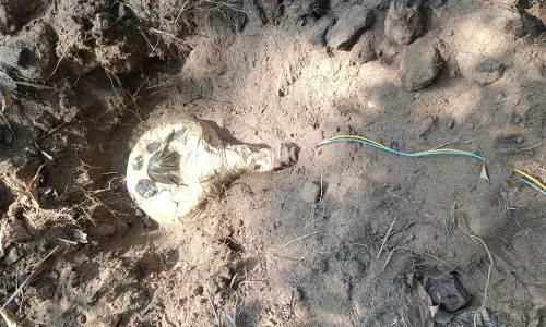 सुरक्षाबलों को बड़ी सफलता, 9 प्रेसर कुकर IED बम और नक्सली सामग्री को किया जब्त