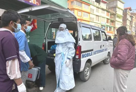 कबूतर और कौवे की असामान्य मौत की खबर, influenza found का कोई मामला नहीं मिला कबूतर और कौवे की असामान्य मौत की खबर, influenza found का कोई मामला नहीं मिला