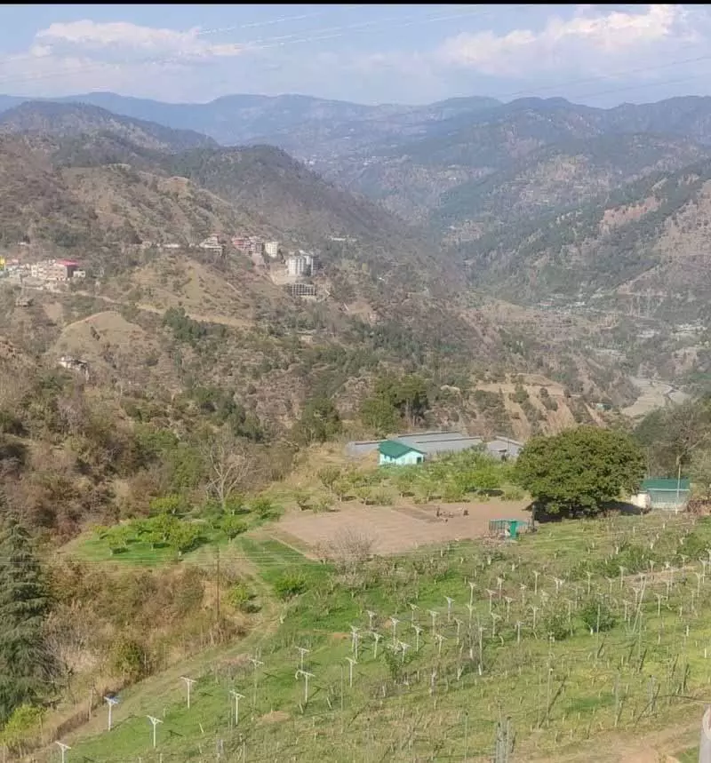 अनियमित मानसून, लंबे समय तक सूखा पड़ना Himachal में बढ़ते कृषि-जलवायु जोखिमों का संकेत अनियमित मानसून, लंबे समय तक सूखा पड़ना Himachal में बढ़ते कृषि-जलवायु जोखिमों का संकेत