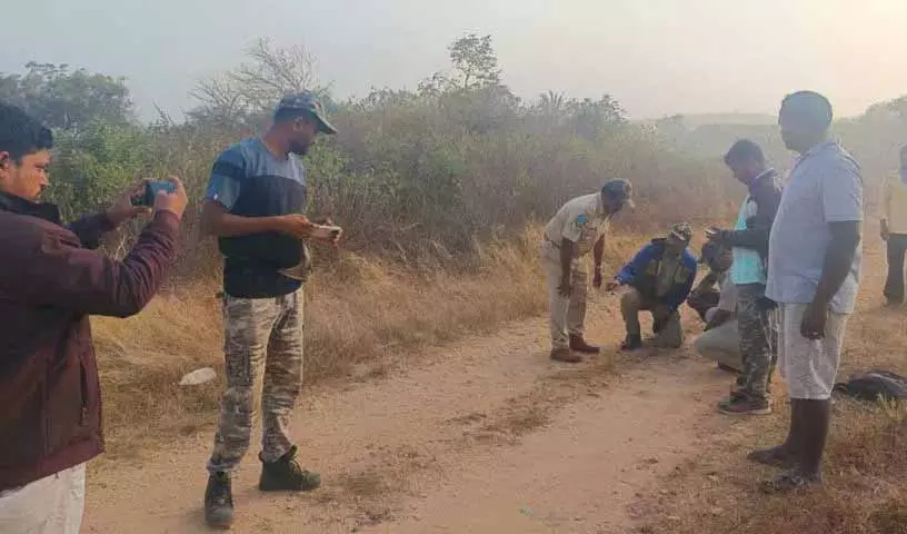 बाघ यदाद्री भुवनगिरी से Siddipet की ओर बढ़ता है बाघ यदाद्री भुवनगिरी से Siddipet की ओर बढ़ता है