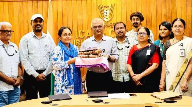 कंद वाली फसल की किस्म का व्यवसायीकरण किया जाएगा; जामुनी रतालू कैंसर से लड़ने के लिए पूरी तरह तैयार है कंद वाली फसल की किस्म का व्यवसायीकरण किया जाएगा; जामुनी रतालू कैंसर से लड़ने के लिए पूरी तरह तैयार है