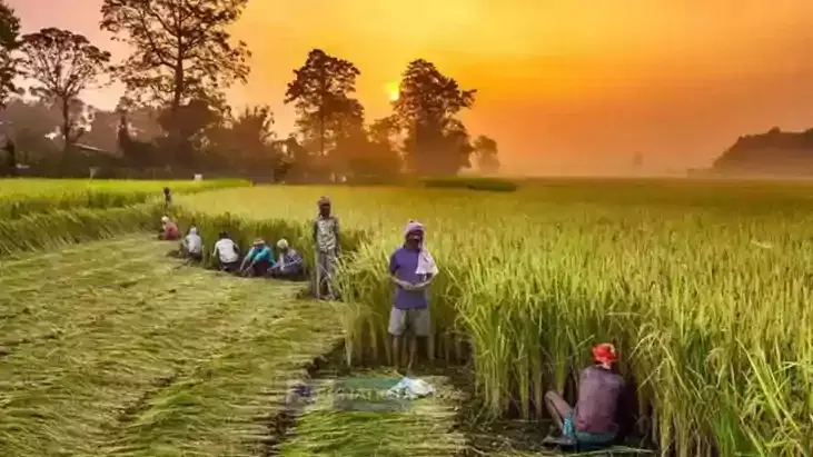 Patna: किसानों को मिलेगा सही दाम, बिचौलिये बाहर Patna: किसानों को मिलेगा सही दाम, बिचौलिये बाहर