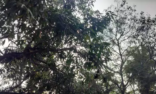 मौसम आज साफ रहेगा, IMD ने दिया एक और बड़ा अपडेट