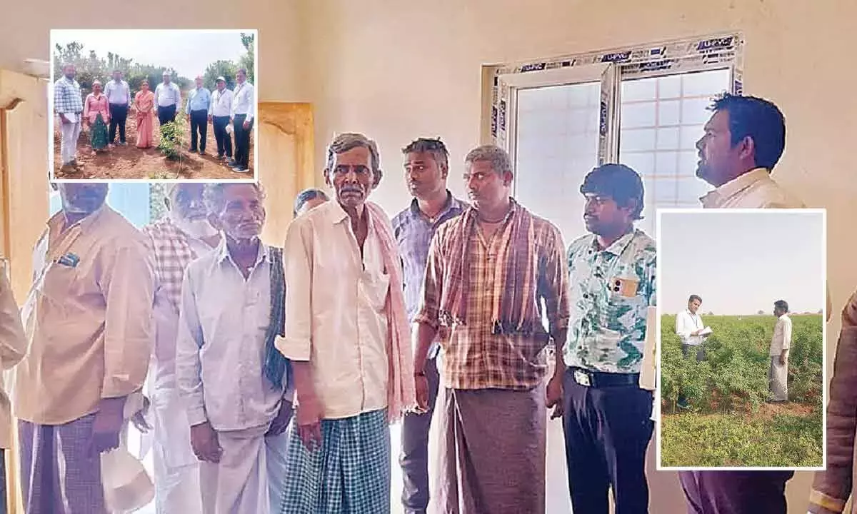 Andhra: नंद्याल में ड्रिप इरिगेशन को कम अपनाने से वैज्ञानिक चिंतित हैं Andhra: नंद्याल में ड्रिप इरिगेशन को कम अपनाने से वैज्ञानिक चिंतित हैं