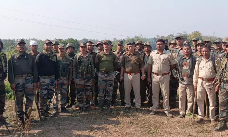 Tripura में असम राइफल्स की कार्रवाई, 58 एकड़ अवैध गांजा खेती नष्ट