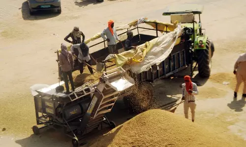 Haryana : धान खरीद घोटाले जांच तेज होने पर एक और व्यक्ति गिरफ्तार Haryana : धान खरीद घोटाले जांच तेज होने पर एक और व्यक्ति गिरफ्तार