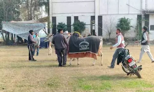 Ludhiana: किला रायपुर गेम्स टाल दिए गए, अब 17 फरवरी को शुरू होंगे Ludhiana: किला रायपुर गेम्स टाल दिए गए, अब 17 फरवरी को शुरू होंगे