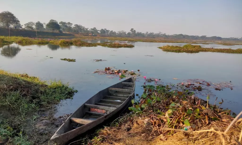 Assam: इकोलॉजिकल गिरावट से मैजान बील में बायोडायवर्सिटी को खतरा