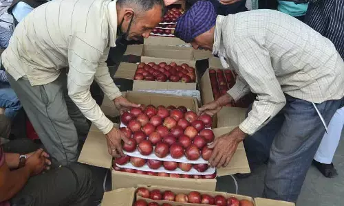 EU ट्रेड डील: सेब पर इंपोर्ट ड्यूटी कम होने से किसान चिंतित