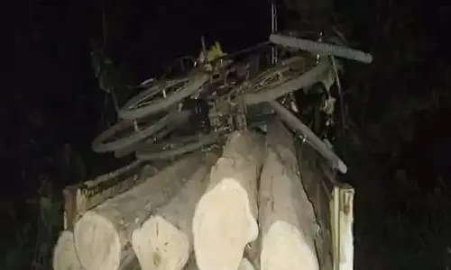 सागौन तस्करी पर वन विकास निगम की कार्रवाई, तस्कर लट्ठे छोड़कर हुए फरार सागौन तस्करी पर वन विकास निगम की कार्रवाई, तस्कर लट्ठे छोड़कर हुए फरार