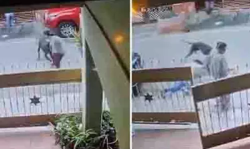 Bengaluru: पालतू कुत्ते के हमले में 31 वर्षीय सॉफ्टवेयर इंजीनियर घायल Bengaluru: पालतू कुत्ते के हमले में 31 वर्षीय सॉफ्टवेयर इंजीनियर घायल