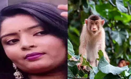पति के बंदर वाले मज़ाक के बाद लखनऊ में Model ने की आत्महत्या पति के बंदर वाले मज़ाक के बाद लखनऊ में Model ने की आत्महत्या