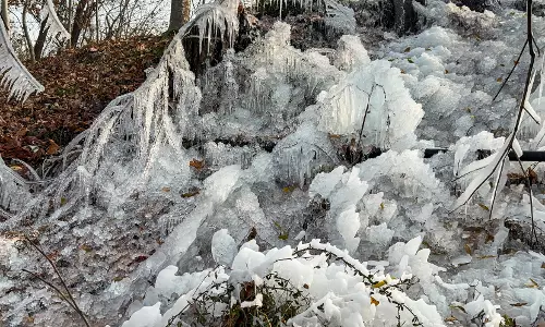 Chandigarh: हरियाणा में ठंड का नया दौर, 1-2 फरवरी को बारिश और ओले Chandigarh: हरियाणा में ठंड का नया दौर, 1-2 फरवरी को बारिश और ओले