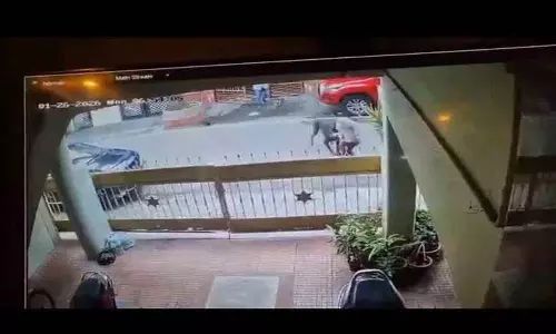 Bengaluru में एक टेक महिला को पड़ोसी के कुत्ते ने काट लिया, 50 टांके लगे Bengaluru में एक टेक महिला को पड़ोसी के कुत्ते ने काट लिया, 50 टांके लगे