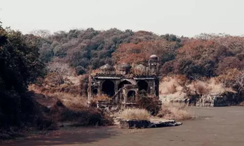 Rajasthan: रणथंभौर सफारी में मोबाइल फोन पर बैन Rajasthan: रणथंभौर सफारी में मोबाइल फोन पर बैन