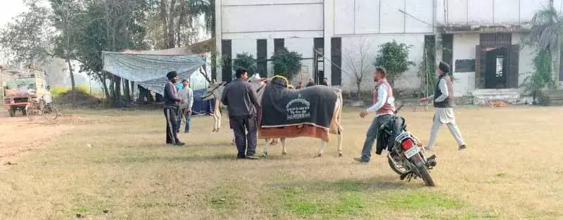 Ludhiana: किला रायपुर गेम्स टाल दिए गए, अब 17 फरवरी को शुरू होंगे Ludhiana: किला रायपुर गेम्स टाल दिए गए, अब 17 फरवरी को शुरू होंगे
