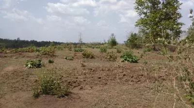 Pilibhit: वन विभाग की जमीन पर अवैध गतिविधि Pilibhit: वन विभाग की जमीन पर अवैध गतिविधि
