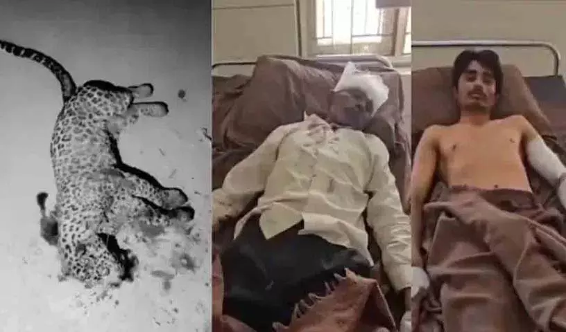 Gujarat में बेटे को बचाने के लिए आदमी ने हंसिया और भाले से तेंदुए को मार डाला Gujarat में बेटे को बचाने के लिए आदमी ने हंसिया और भाले से तेंदुए को मार डाला