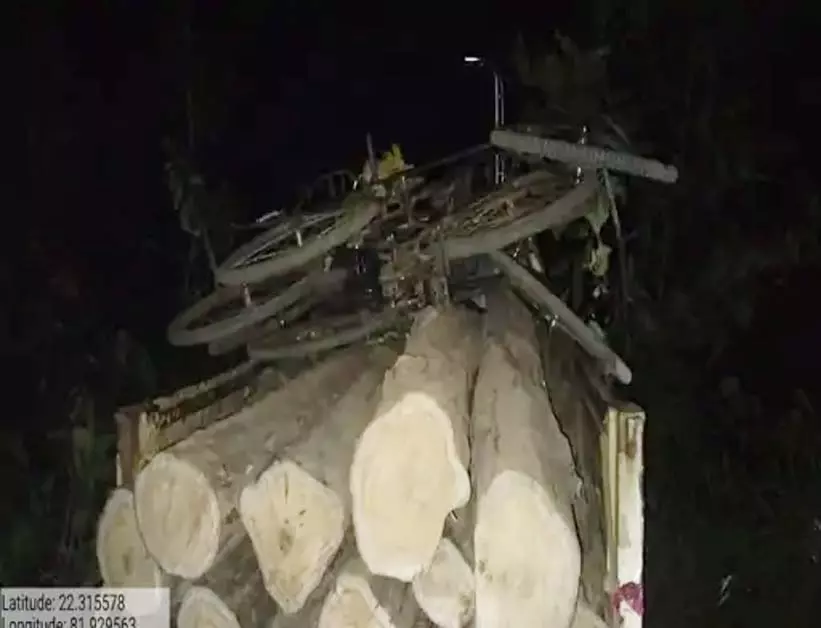 सागौन तस्करी पर वन विकास निगम की कार्रवाई, तस्कर लट्ठे छोड़कर हुए फरार सागौन तस्करी पर वन विकास निगम की कार्रवाई, तस्कर लट्ठे छोड़कर हुए फरार
