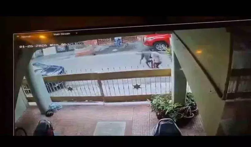 Bengaluru में एक टेक महिला को पड़ोसी के कुत्ते ने काट लिया, 50 टांके लगे Bengaluru में एक टेक महिला को पड़ोसी के कुत्ते ने काट लिया, 50 टांके लगे