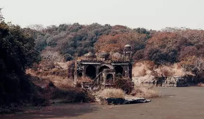 Rajasthan: रणथंभौर सफारी में मोबाइल फोन पर बैन Rajasthan: रणथंभौर सफारी में मोबाइल फोन पर बैन