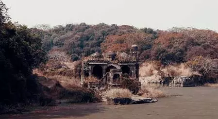 राजस्थान: रणथम्भौर सफारी में मोबाइल फोन बैन, सुप्रीम कोर्ट के निर्देश पर वन विभाग का फैसला राजस्थान: रणथम्भौर सफारी में मोबाइल फोन बैन, सुप्रीम कोर्ट के निर्देश पर वन विभाग का फैसला