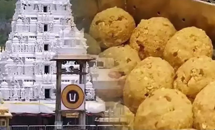 लड्डू घी मामले में SIT की चार्जशीट से तिरूपति में राजनीतिक घमासान छिड़ गया है लड्डू घी मामले में SIT की चार्जशीट से तिरूपति में राजनीतिक घमासान छिड़ गया है