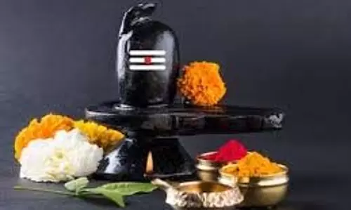 Shivling Puja: शनि दोष से परेशान, शिवलिंग पर इस दिन अर्पित करें काले तिल, बदलेगी तकदीर Shivling Puja: शनि दोष से परेशान, शिवलिंग पर इस दिन अर्पित करें काले तिल, बदलेगी तकदीर