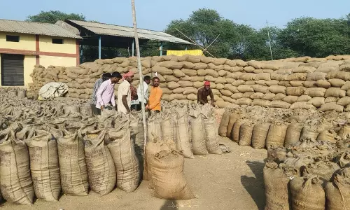 कोचियों और बिचौलियों से 9057 क्विंटल अवैध धान जब्त