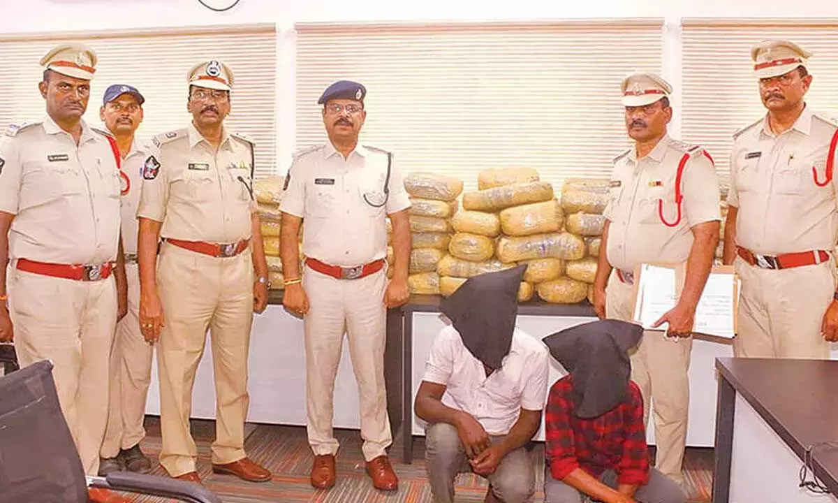Andhra: 198 किलो गांजा जब्त, 2 गिरफ्तार