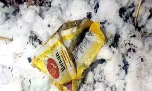 Himachal Pradesh: सिंचाई नहर से मिला 5 माह का भ्रूण