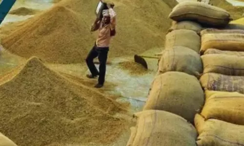कलेक्टर ने धान खरीदी घोटाले में बड़ी कार्रवाई की, प्रभारी और ऑपरेटर नौकरी से बर्खास्त