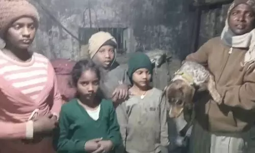 Jagraon-Chandigarh, रेबीज टेस्ट के लिए प्रवासी परिवार को 14 घंटे की परेशानी झेलनी पड़ी Jagraon-Chandigarh, रेबीज टेस्ट के लिए प्रवासी परिवार को 14 घंटे की परेशानी झेलनी पड़ी
