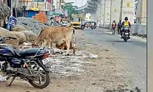 Chennai मेट्रो रेल और हाईवे विभाग के बीच मेदावक्कम सड़क के रखरखाव को लेकर विवाद Chennai मेट्रो रेल और हाईवे विभाग के बीच मेदावक्कम सड़क के रखरखाव को लेकर विवाद