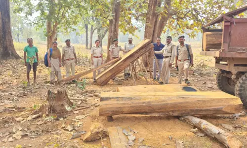वन विभाग ने रेड मारकर सागौन लकड़ी किया जब्त