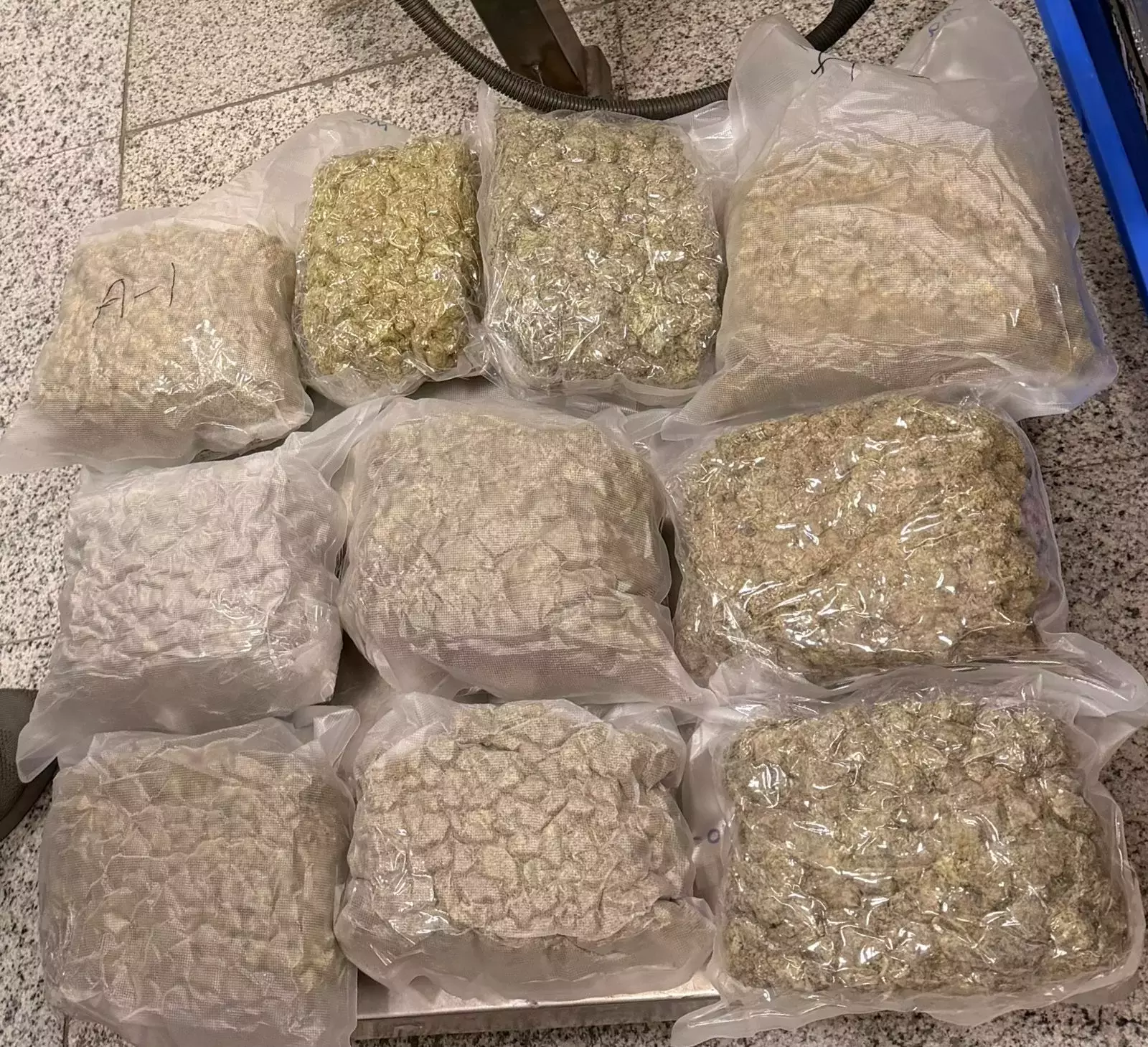 DRI ने RGIA में 9.5 करोड़ रुपये की 27.15 किलोग्राम हाइड्रोपोनिक वीड ज़ब्त की