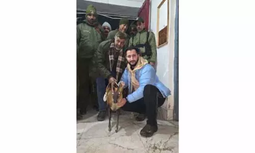 POONCH: जंगली भौंकने वाले हिरण को बचाया गया