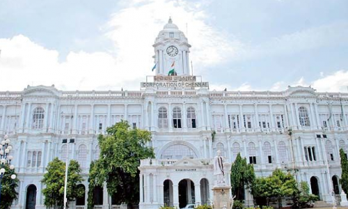 Tamil Nadu : आवारा पशुओं के खतरे को रोकने के लिए, लाइसेंसिंग और माइक्रोचिपिंग अनिवार्य की गई