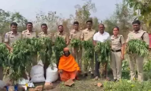 अच्छा उपदेश देने वाला व्यक्ति बगीचे में Marijuana की खेती करने लगा