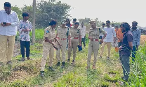 Turkapally Mandal के गांवों में घूम रहा बाघ, लोग डरे हुए हैं