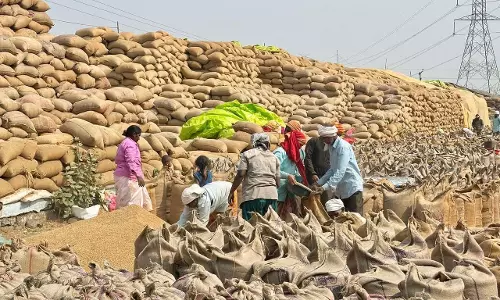 धान खरीदी में धमतरी की ऐतिहासिक छलांग, खरीफ विपणन वर्ष 2025-26 में प्रदेश में प्रथम स्थान धान खरीदी में धमतरी की ऐतिहासिक छलांग, खरीफ विपणन वर्ष 2025-26 में प्रदेश में प्रथम स्थान