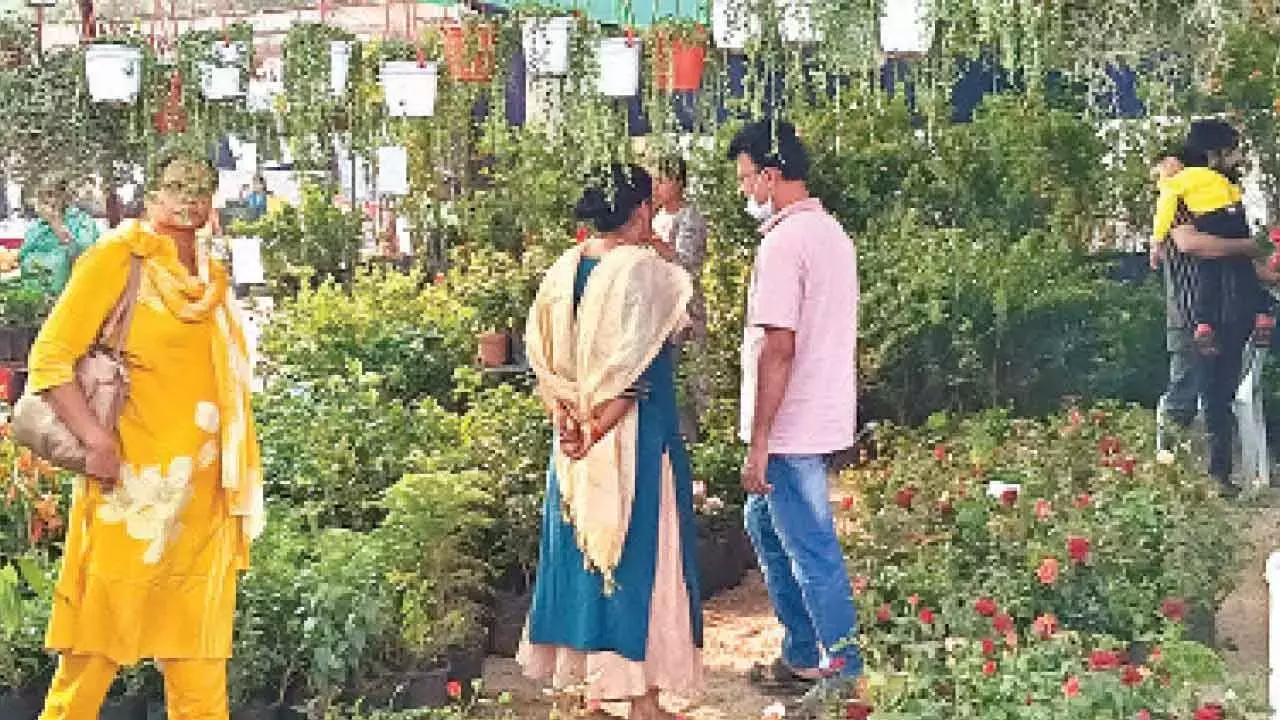 हैदराबाद के लोग अपनी जड़ों की ओर लौट रहे हैं: नर्सरी मेले में टेरेस गार्डनिंग के सपने सेंटर स्टेज पर हैं हैदराबाद के लोग अपनी जड़ों की ओर लौट रहे हैं: नर्सरी मेले में टेरेस गार्डनिंग के सपने सेंटर स्टेज पर हैं