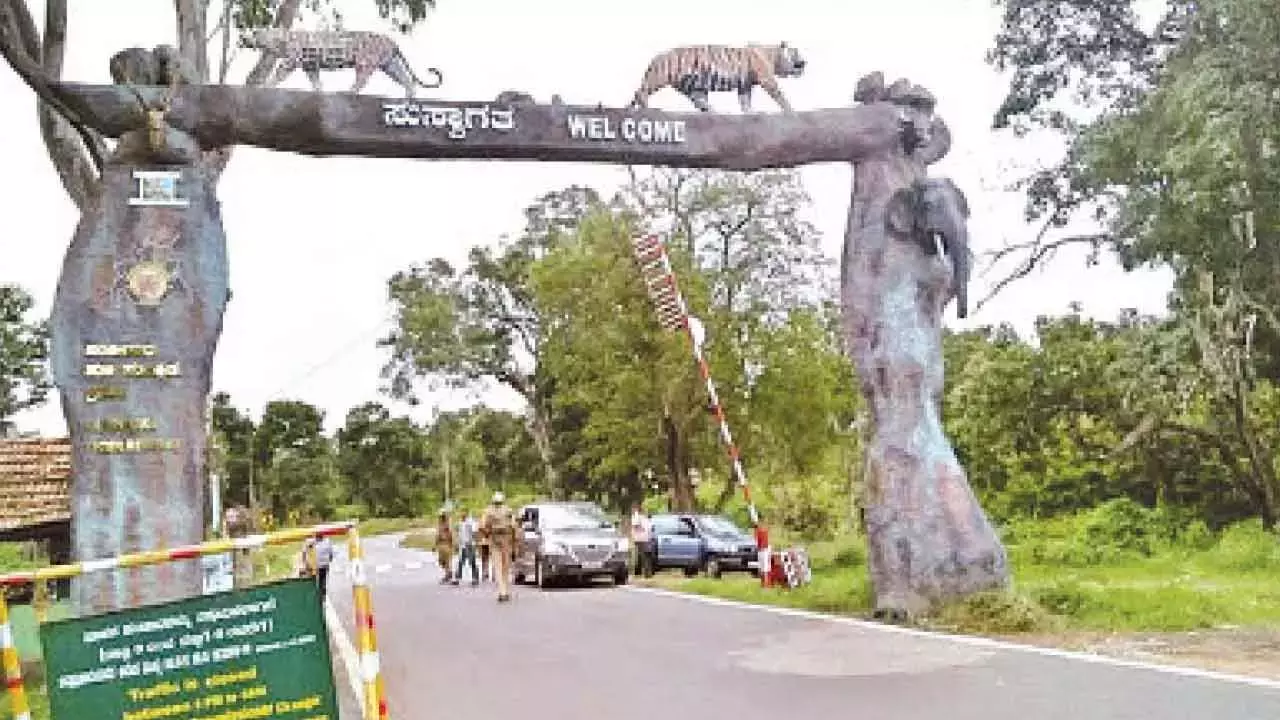 Karnataka: बांदीपुर सुरंग प्रस्ताव ने संरक्षण पर बहस को फिर से शुरू कर दिया Karnataka: बांदीपुर सुरंग प्रस्ताव ने संरक्षण पर बहस को फिर से शुरू कर दिया