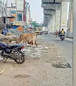 Chennai मेट्रो रेल और हाईवे विभाग के बीच मेदावक्कम सड़क के रखरखाव को लेकर विवाद Chennai मेट्रो रेल और हाईवे विभाग के बीच मेदावक्कम सड़क के रखरखाव को लेकर विवाद