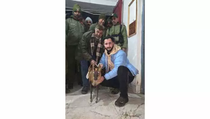POONCH: जंगली भौंकने वाले हिरण को बचाया गया POONCH: जंगली भौंकने वाले हिरण को बचाया गया